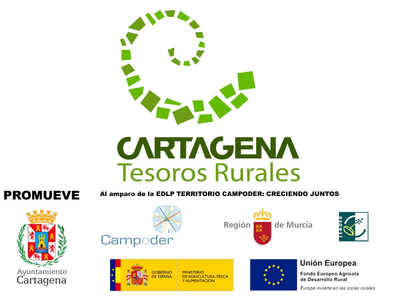 Logo Campoder - Tesoros Rurales
