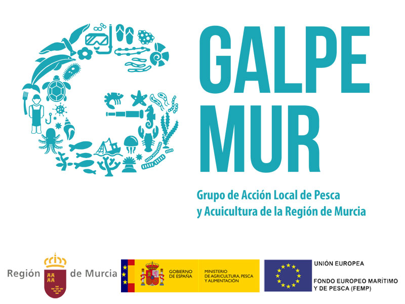 Logo Galpemur