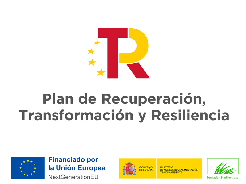 Logo Plan de Recuperacin Transformacin y Resilencia (PRTR)- Fundacin Biodiversidad