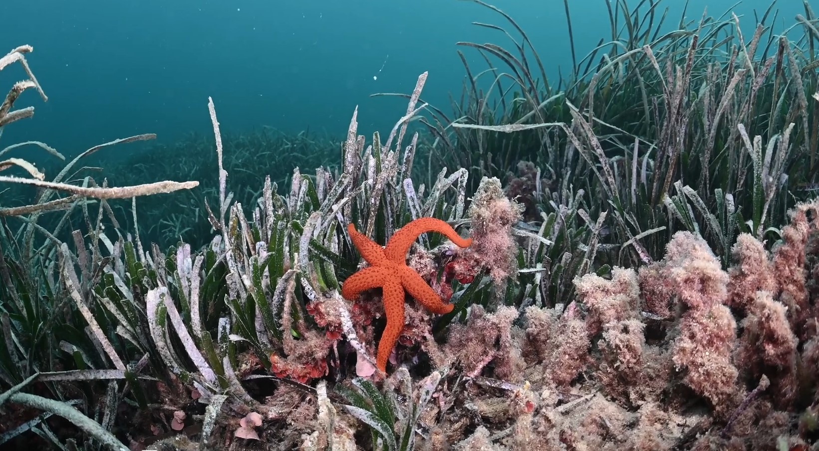 La costa de los tesoros