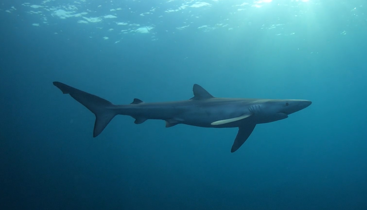 La costa de los tesoros