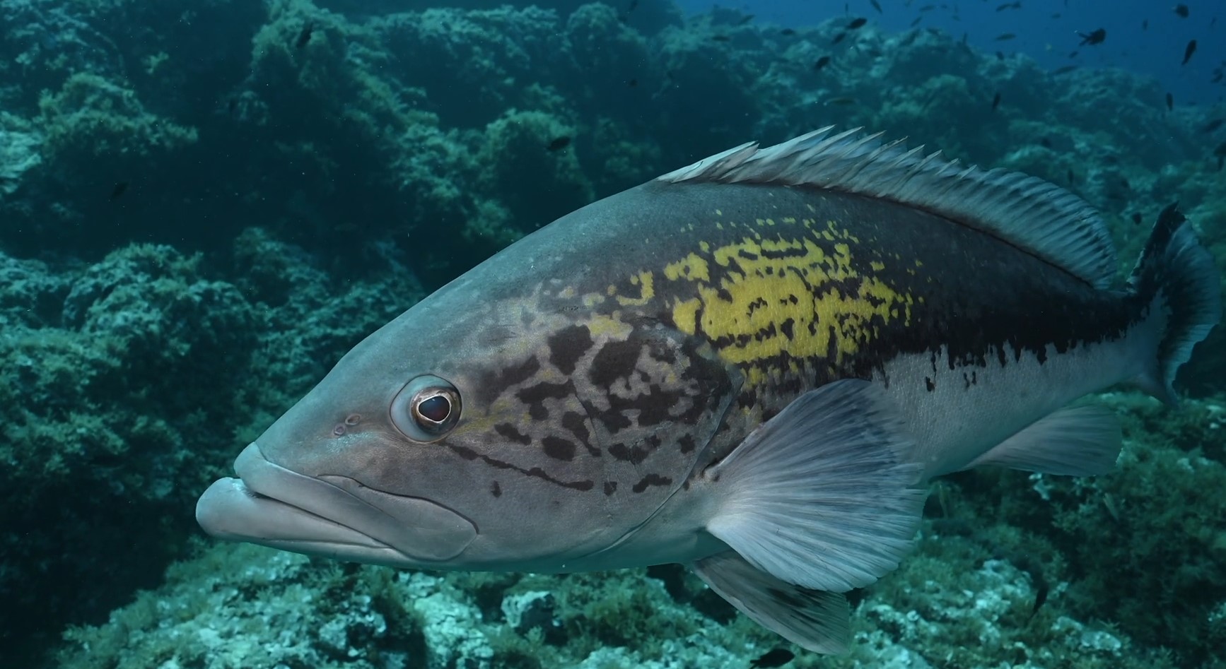 La costa de los tesoros