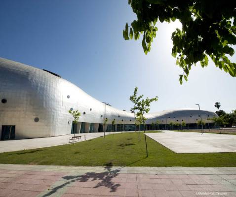 Palacio de deportes