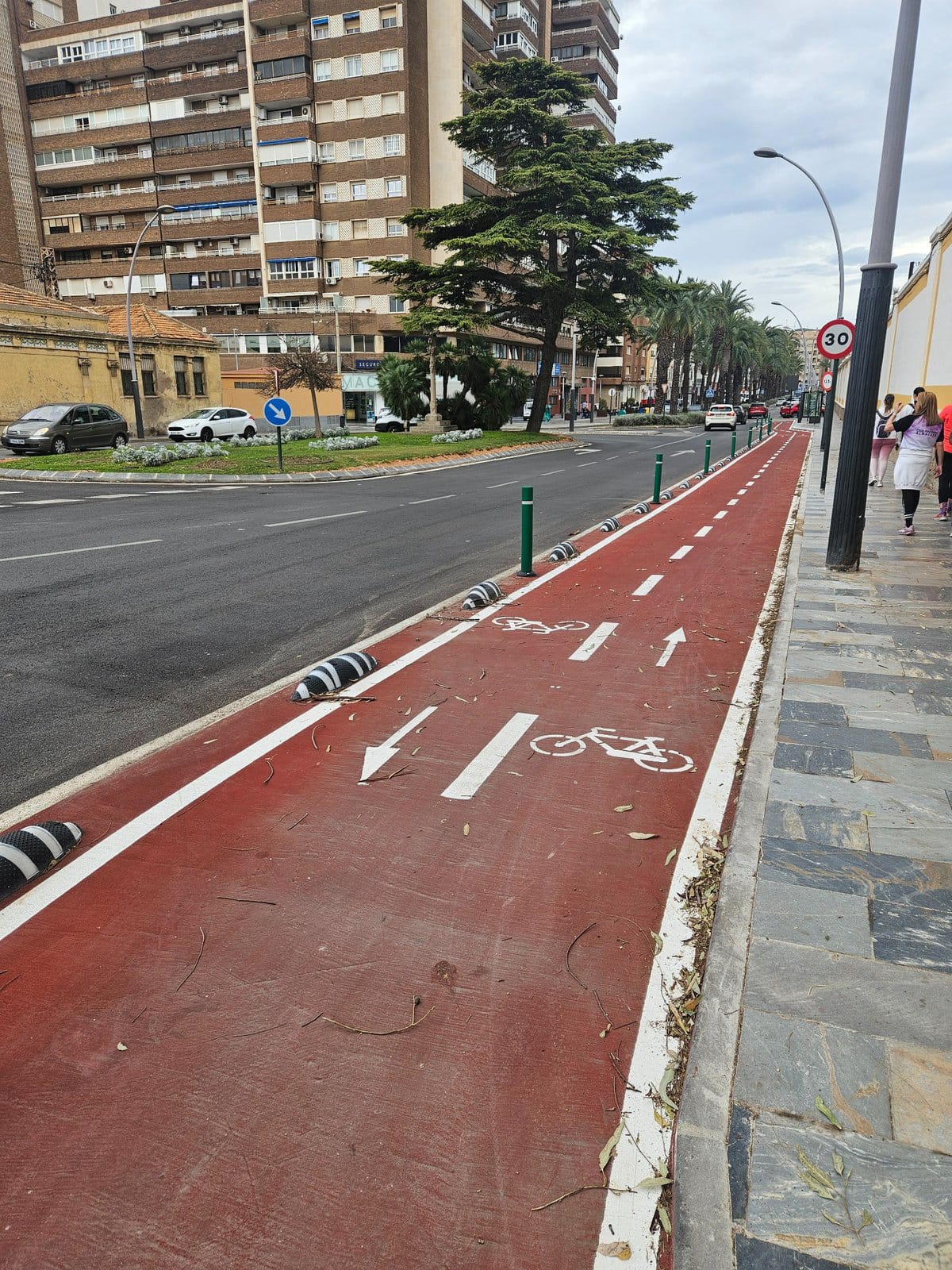 CARRIL BICI CALLE REAL 2