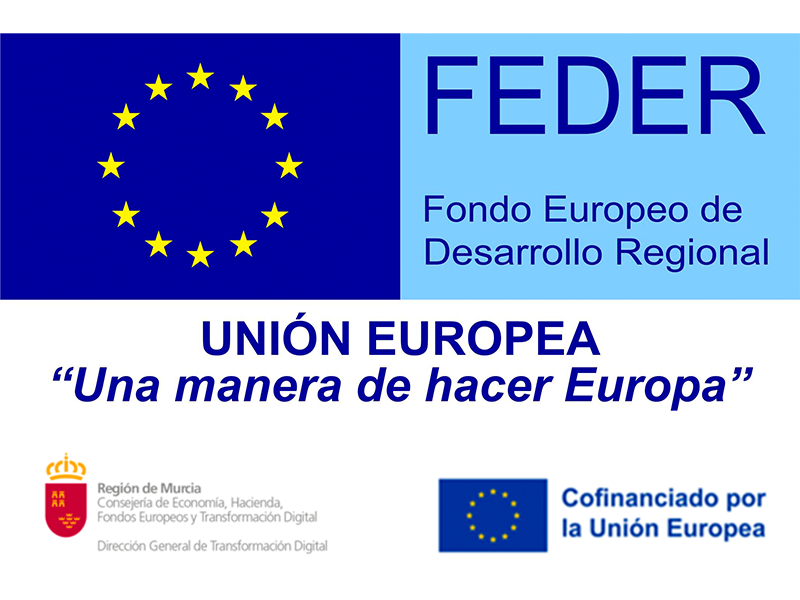 Logo Fondo Europeo de Desarrollo Regional (FEDER) 